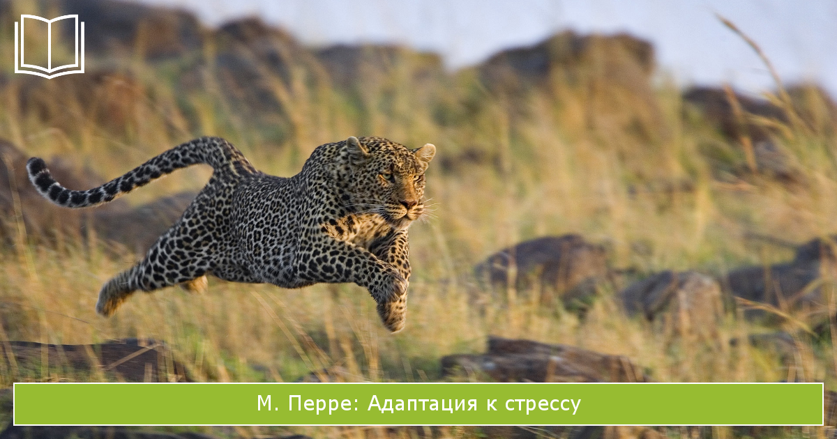 книга Адаптация к стрессу М. Перре