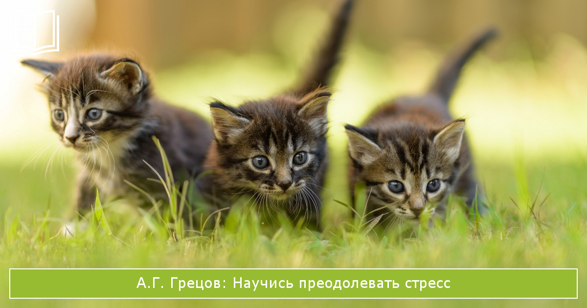 книга Научись преодолевать стресс А.Г. Грецова