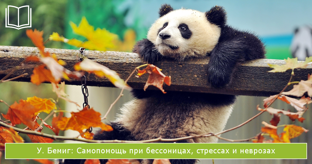 книги о стрессе Самопомощь при бессоницах, стрессах и неврозах У. Бемиг