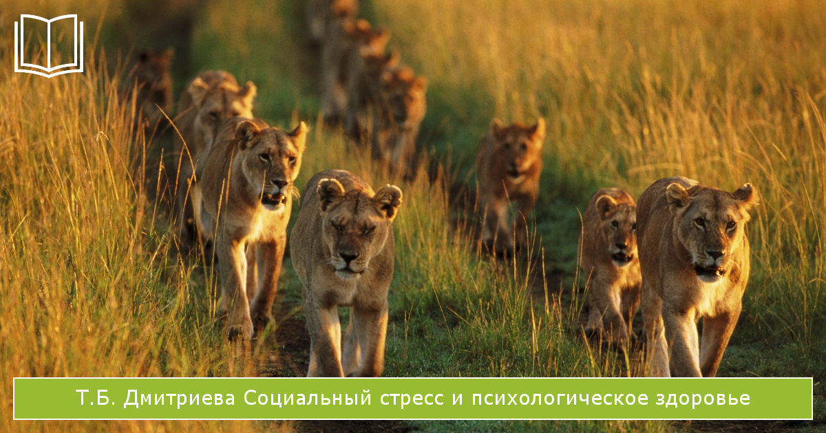 книги о стрессе: Социальный стресс и психологическое здоровье Т.Б. Дмитриевой